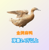 【仙居园生态农场】金牌麻鸭